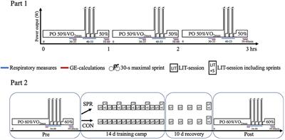 The Aerobic and Anaerobic Contribution During Repeated 30-s Sprints in Elite Cyclists